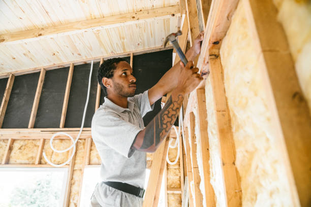 Best Attic Insulation Installation  in Newport, SC